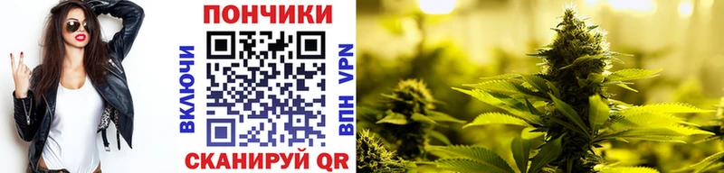 Бошки Шишки Bruce Banner  где продают наркотики  Берёзовский 